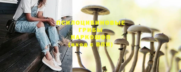 крисы Лагань
