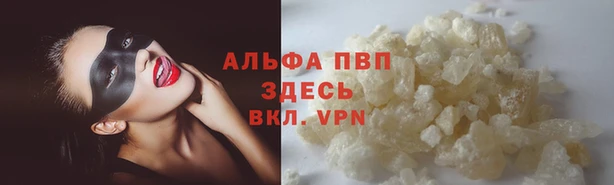 крисы Лагань